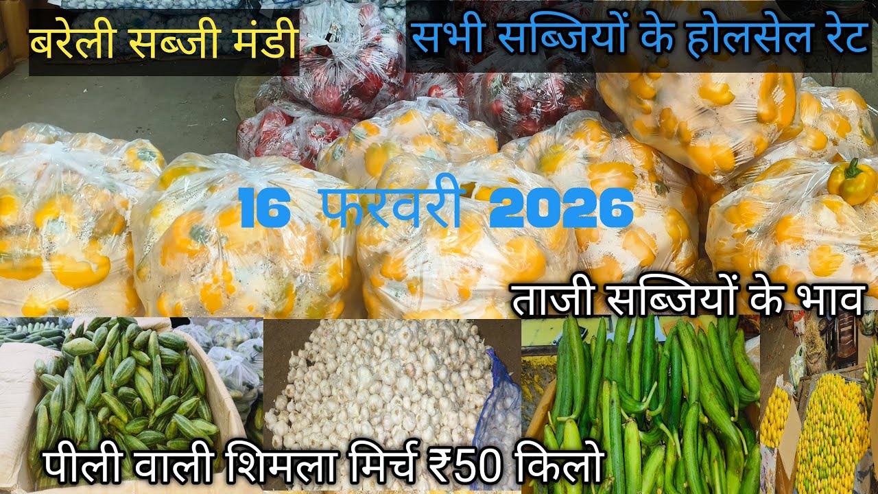 Bareilly sabji mandi 16 February 2026#streetfood #vegitablemarket #recipe #Bareillysabjimandi#food 