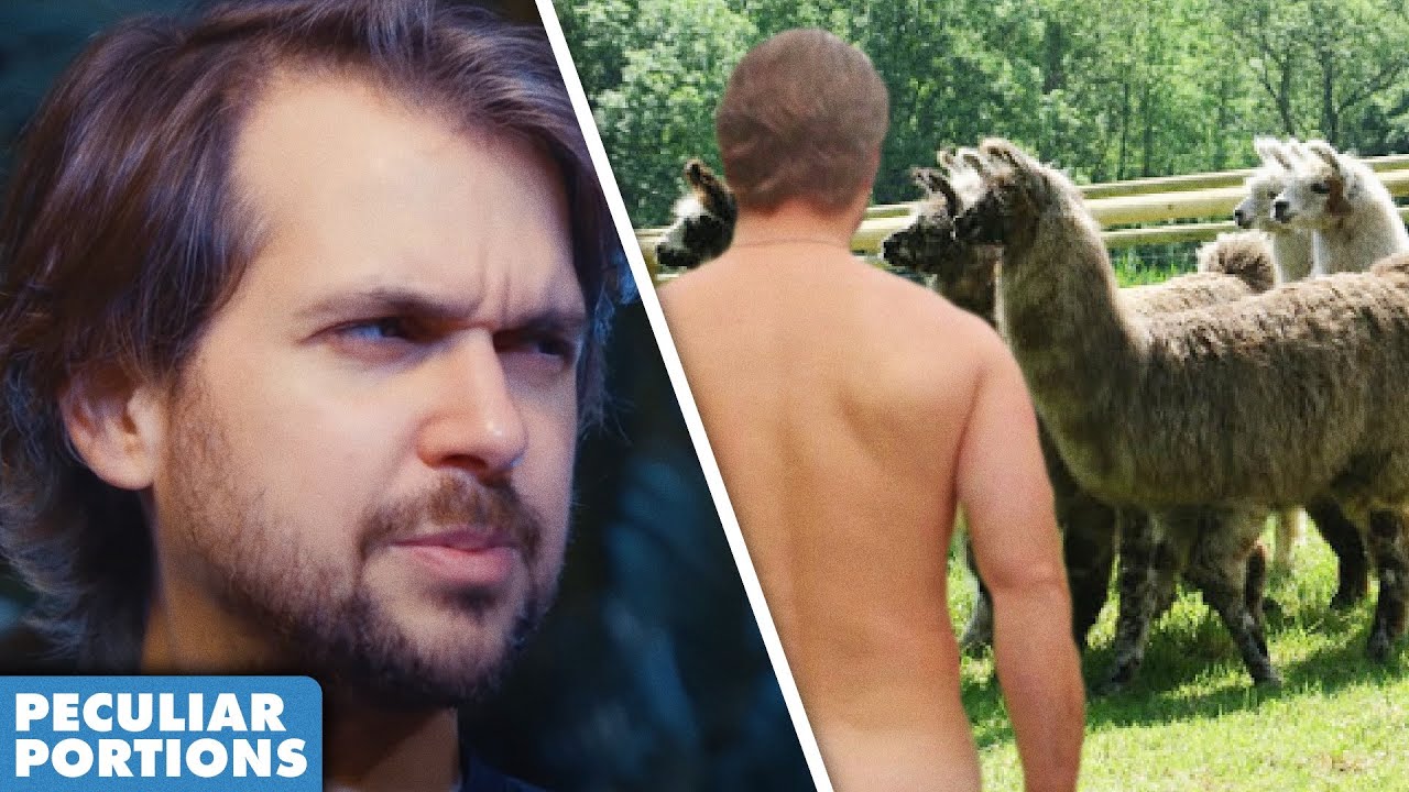 You Can Now Go Naked Walking With Llamas