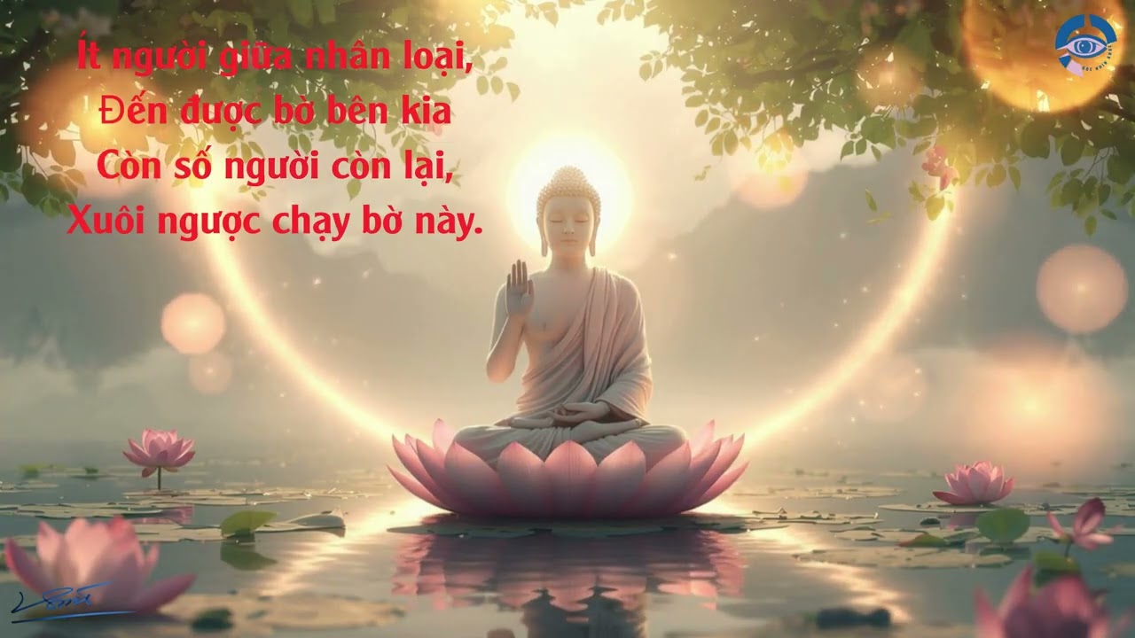Giữa triệu người đang vội chạy, bạn đang ở bờ nào của đời