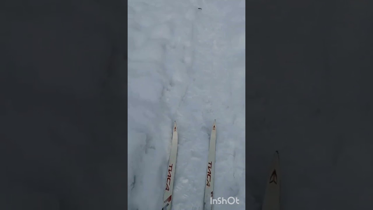 Лыжная прогулка 
