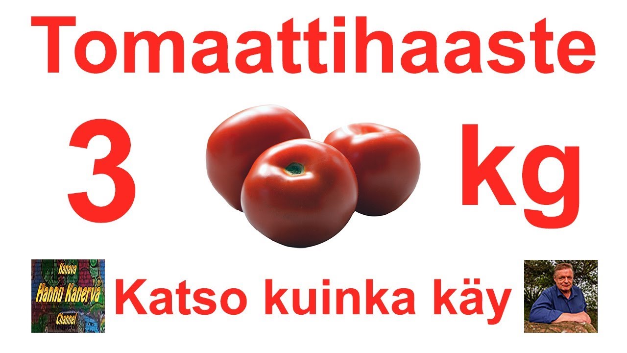 Tomaattihaaste