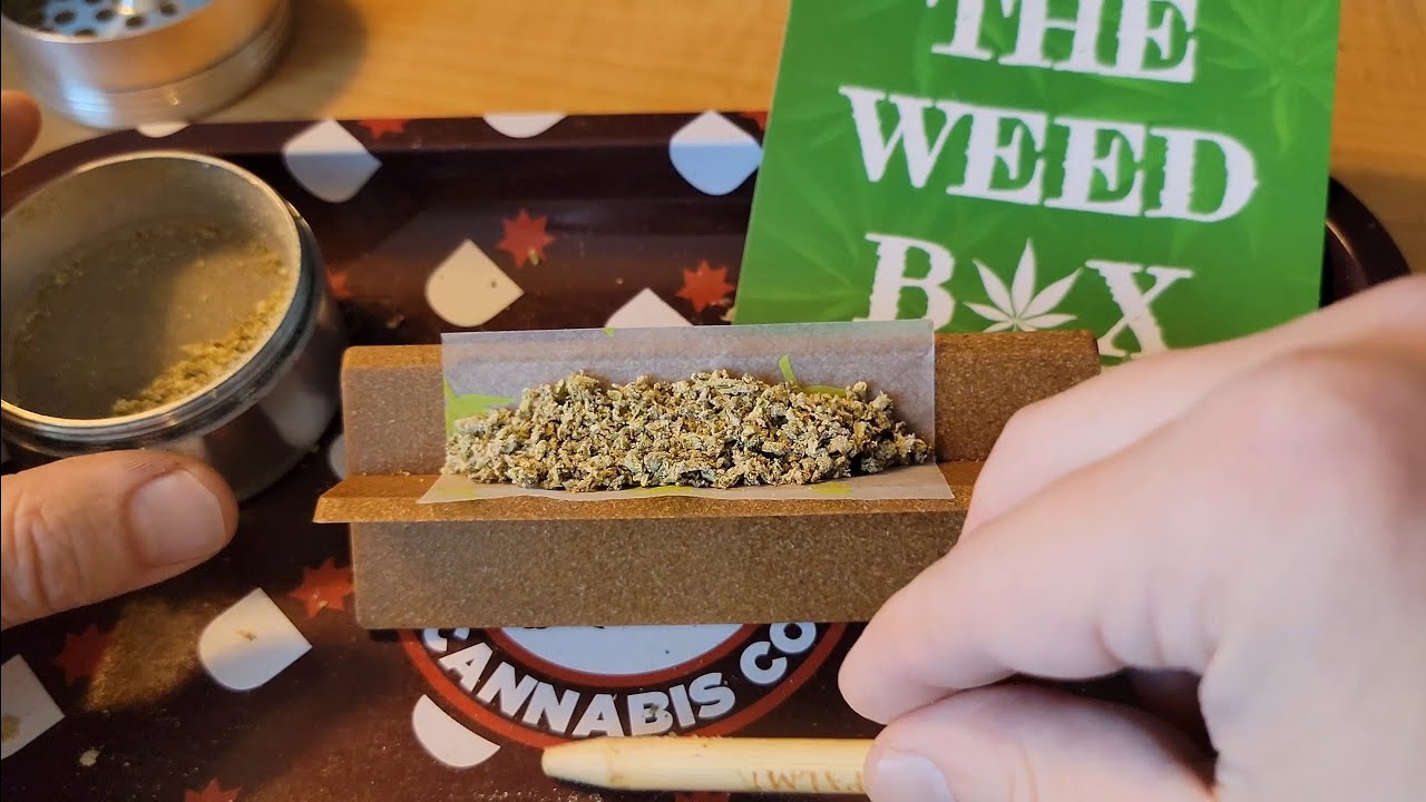 Roll one up with me - Gelato Snowcaps from The Weed Box