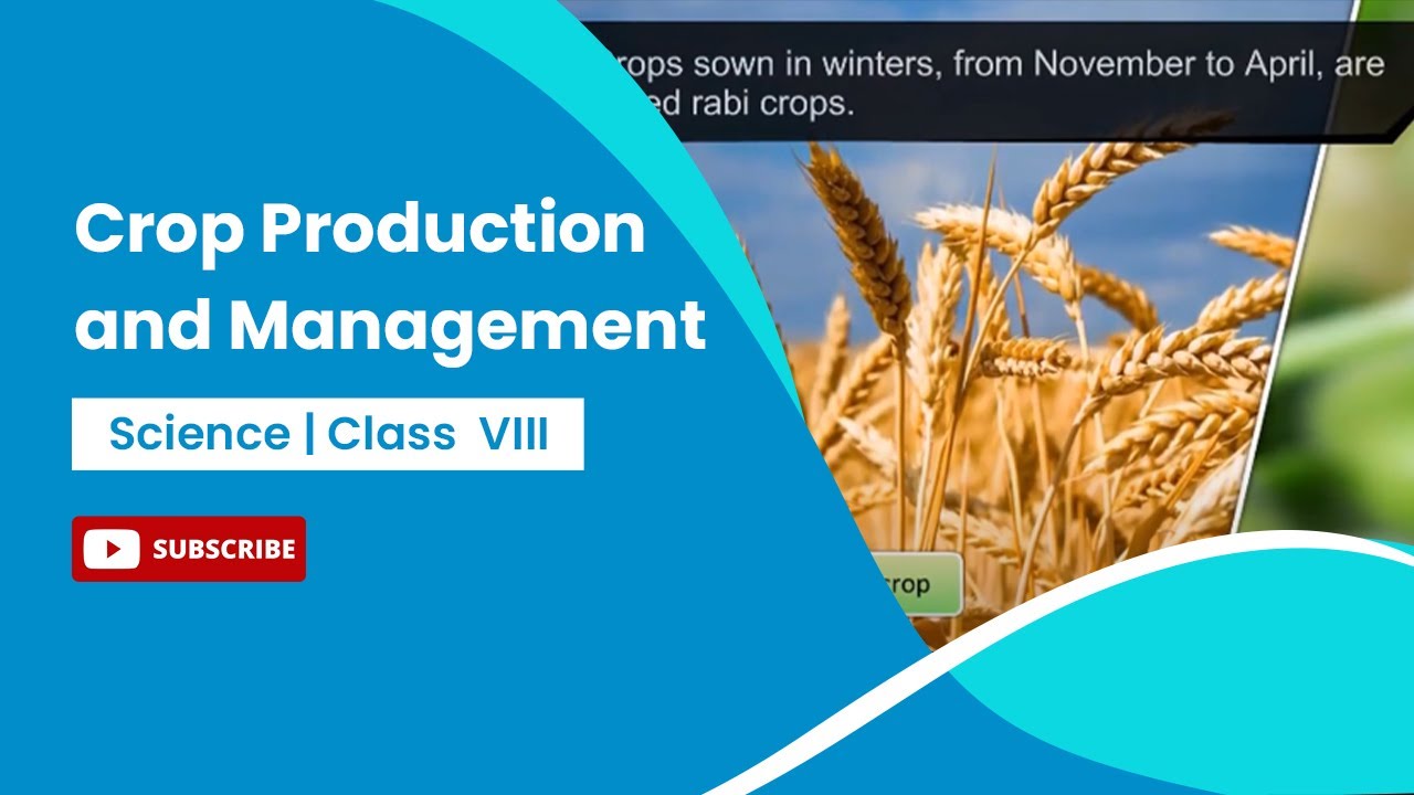 Crop Production and Management | Class 8