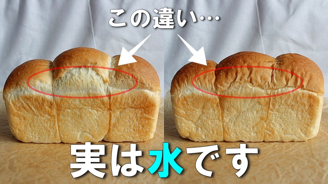 水にこだわるとパンは美味しくなる？水道水や炭酸水など６種の水で比較実験！