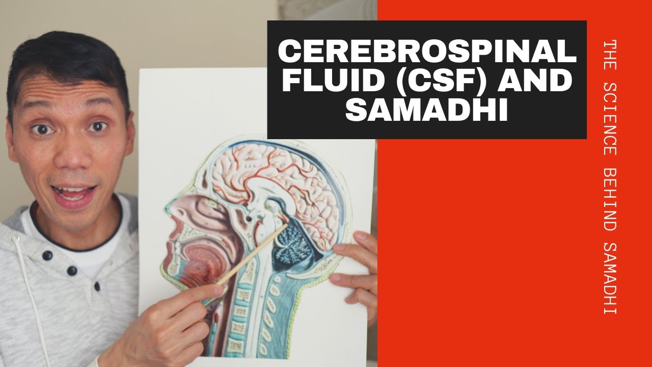 Cerebrospinal Fluid (CSF) and Spiritual Awakening |  Emerging the Soul through Science | Soma Rasa