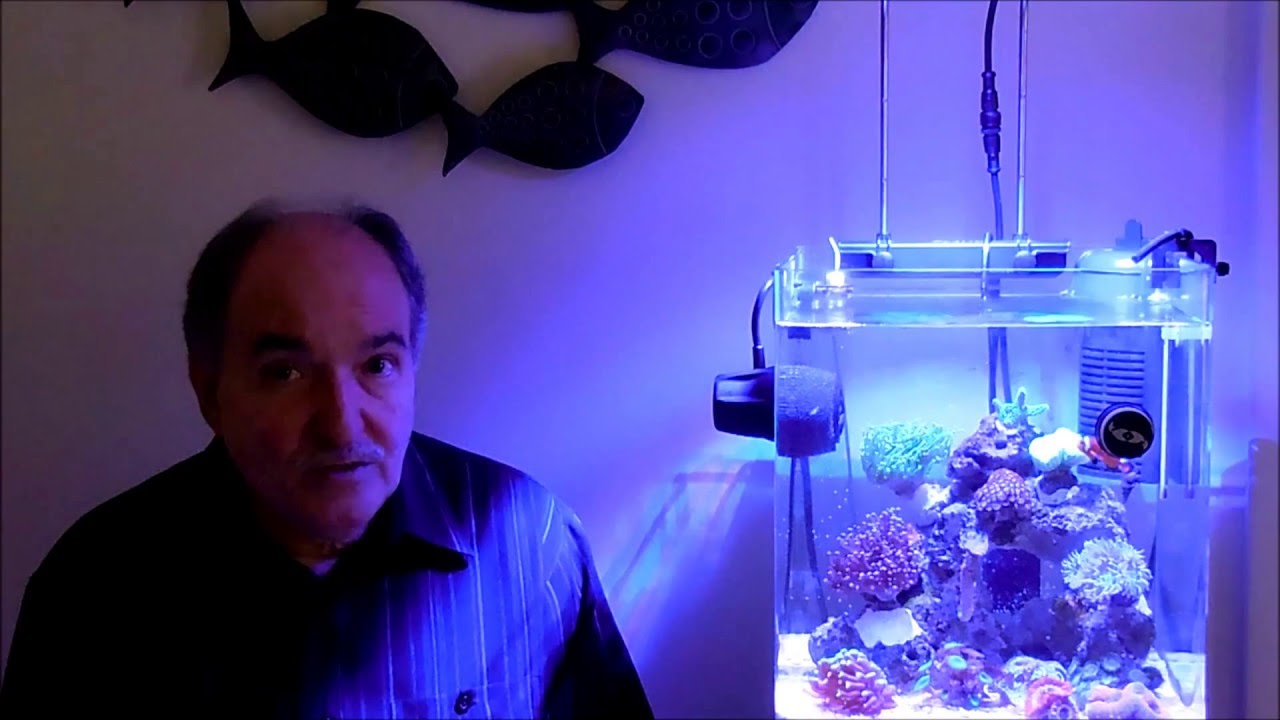 Before you start a Reef Aquarium