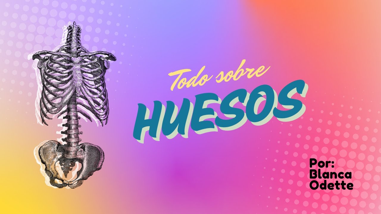 Curso exanii - Huesos del cuerpo