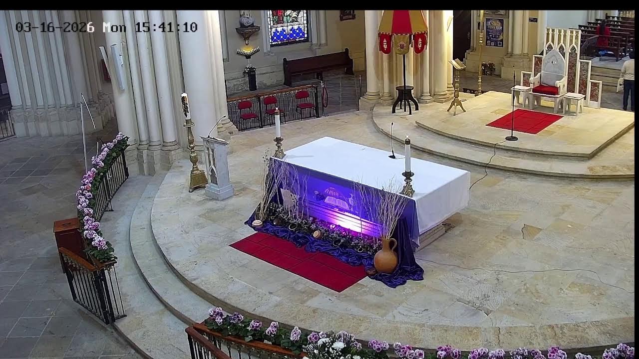 Transmisión Eucaristía Basílica de Lourdes   2026