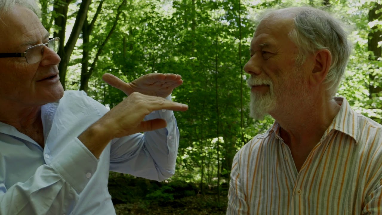 Mental Space Psychology: understand the new paradigm