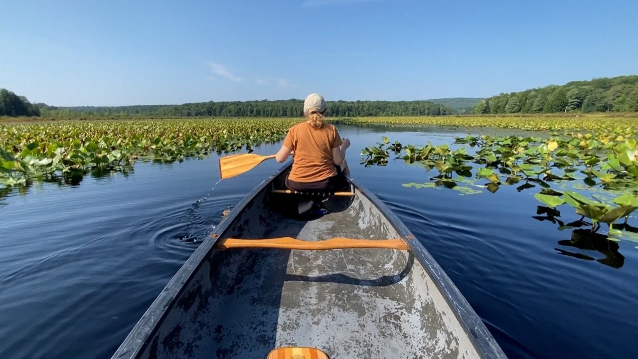 PA's state parks & conservation corps legacy | Keystone Stories | Pennsylvania nature & history