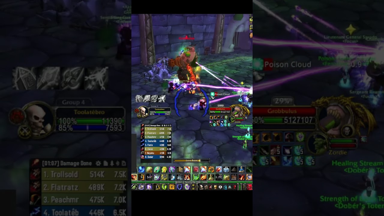 SoD Naxx Grobbulus Big Crit Combo Ele Shaman WoW Classic 