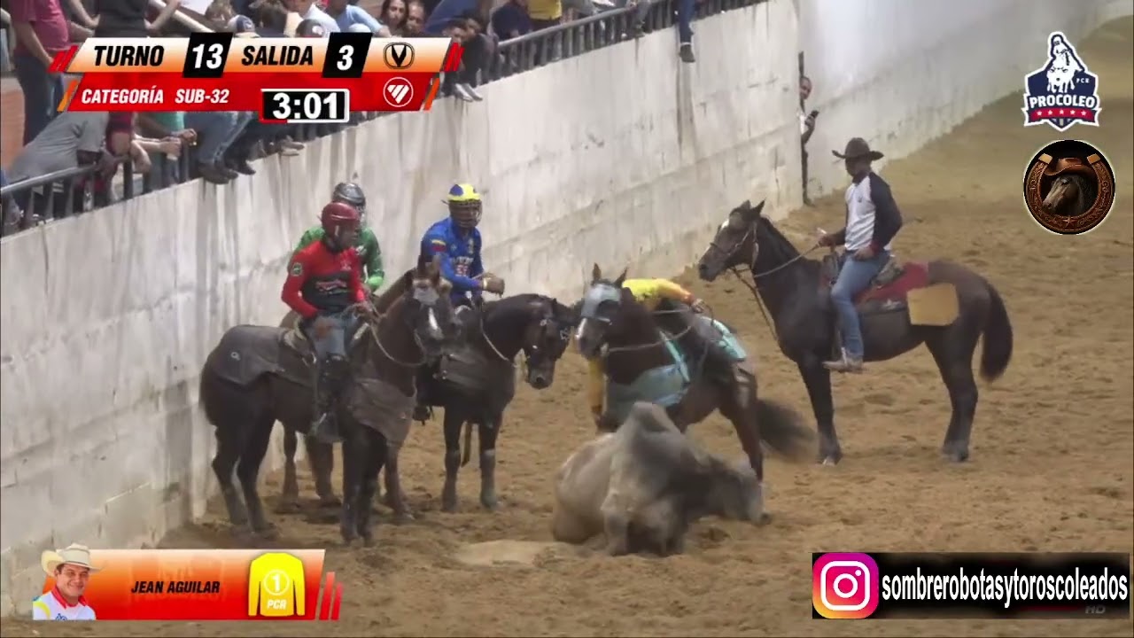 TURNO 13 SALIDA FINAL SUB 32 PRO COLEO RANKING