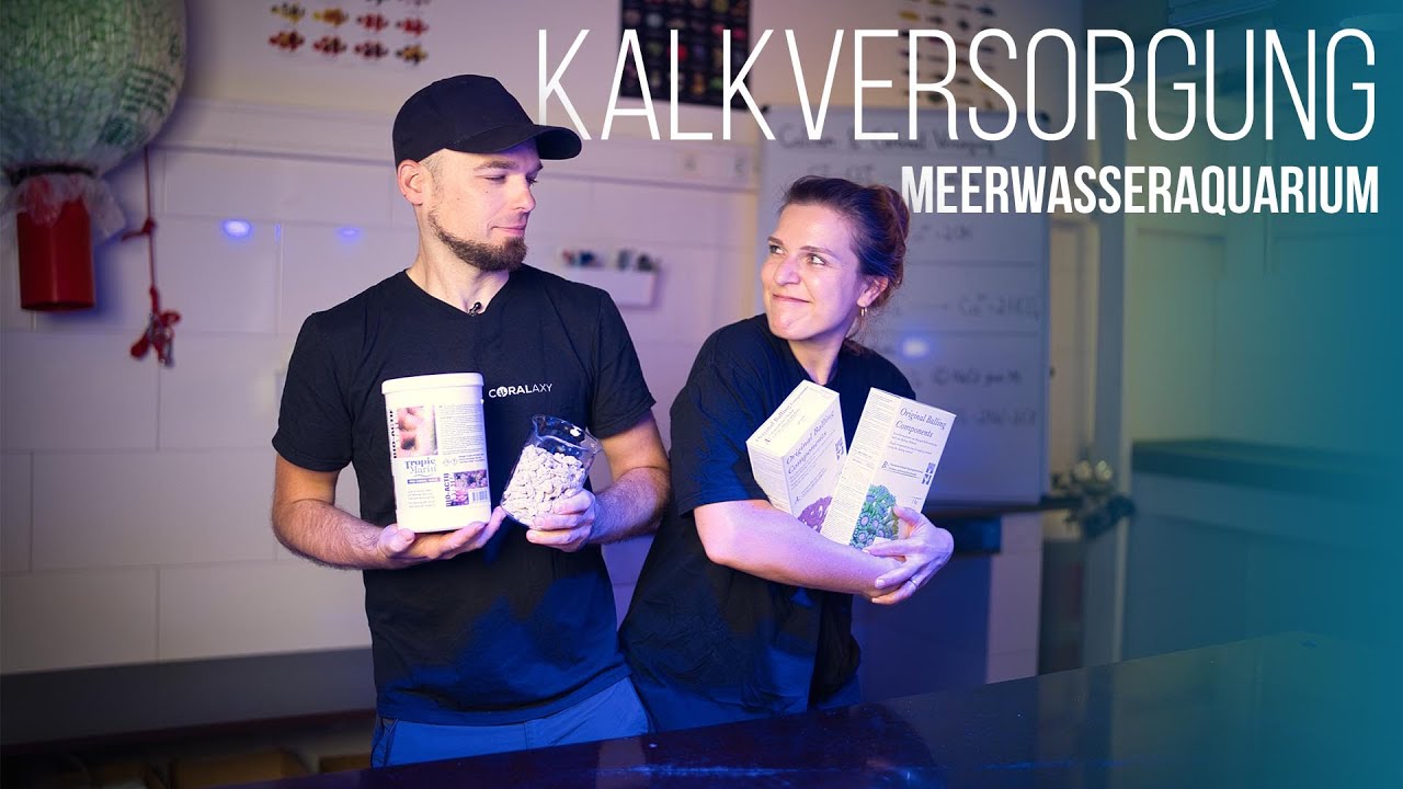 HOW-TO: Kalkversorgung im Meerwasseraquarium | Coralaxy