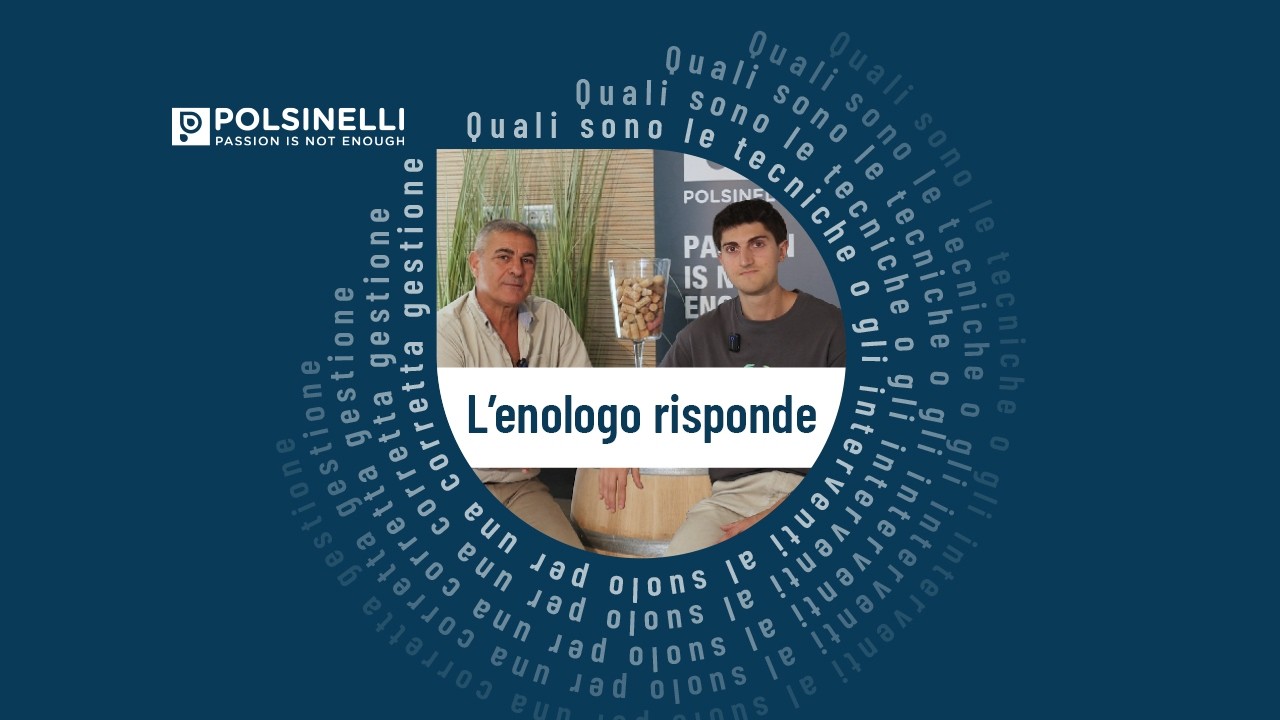 L'enologo risponde – “La gestione del suolo post vendemmia”.
