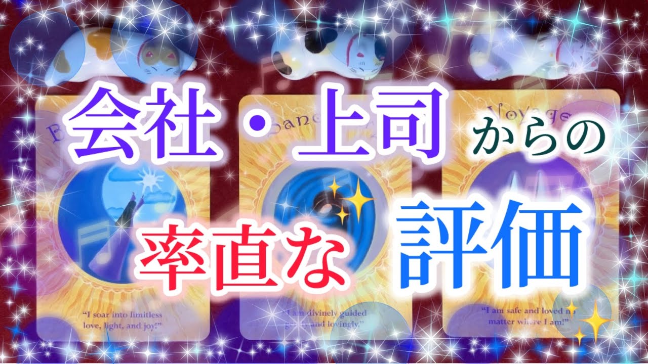 会社・上司からの✨率直な評価✨