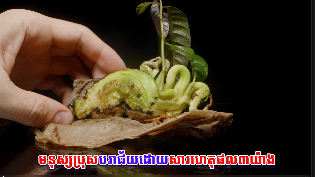 មនុស្សប្រុសបរាជ័យដោយសារហេតុផល៣យ៉ាង