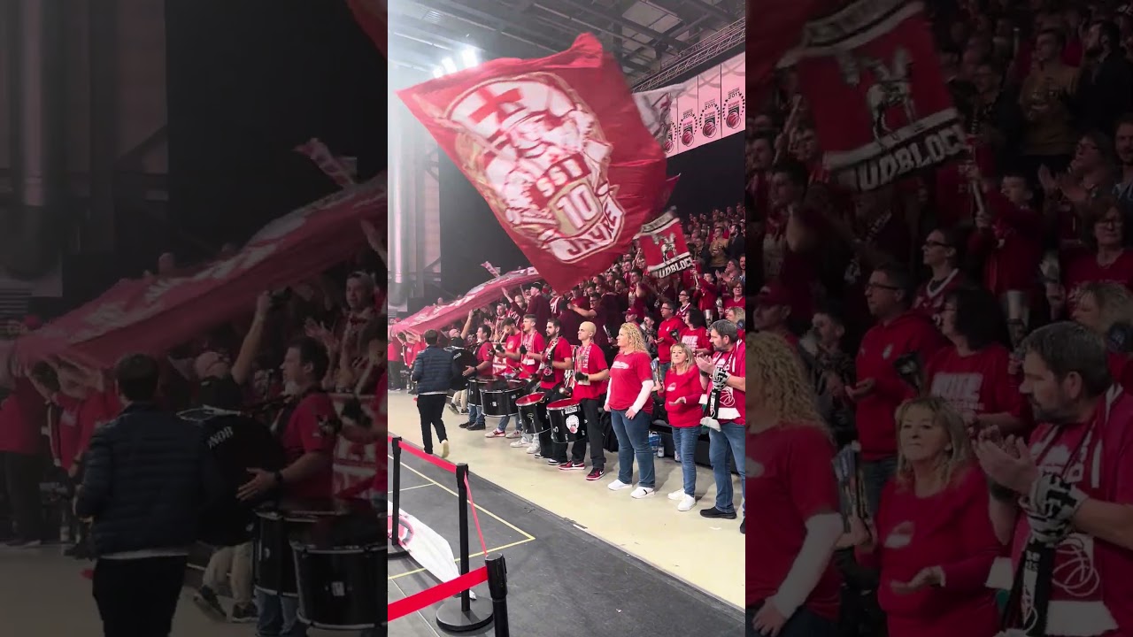 Bamberg Baskets Fanbase 🏀