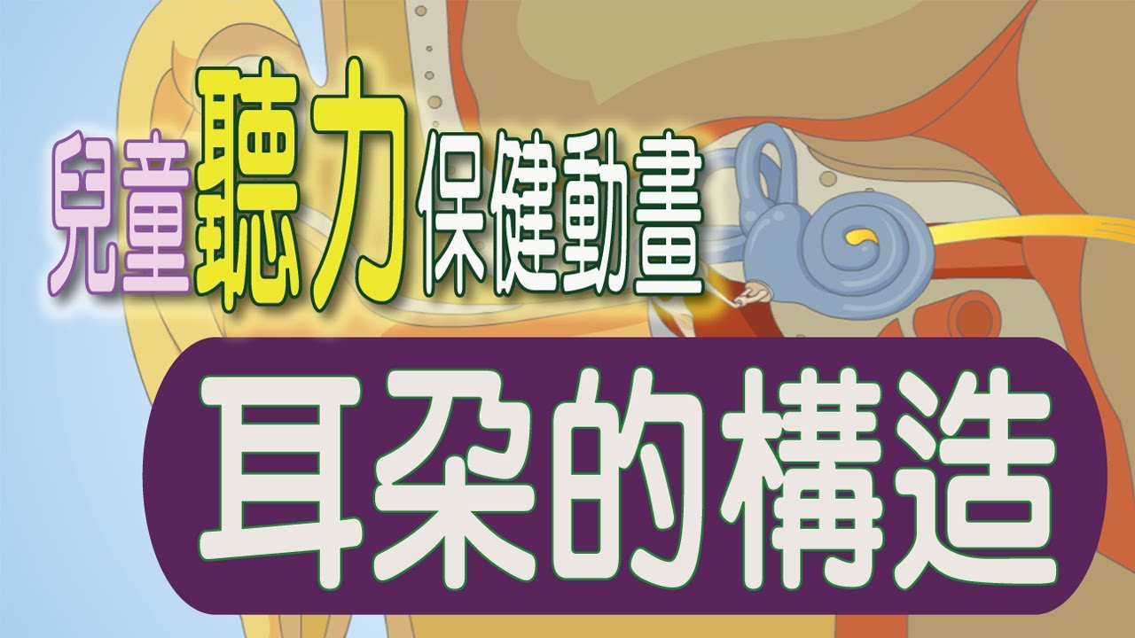 兒童聽力保健動畫 2 耳朵的構造