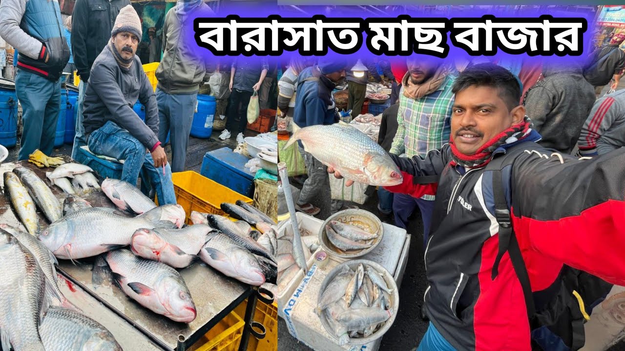 বারাসাত মাছ বাজারে আজকে মাছের দাম এতো সস্তা কেনো || Barasat wholesale fish market #fishmarket 