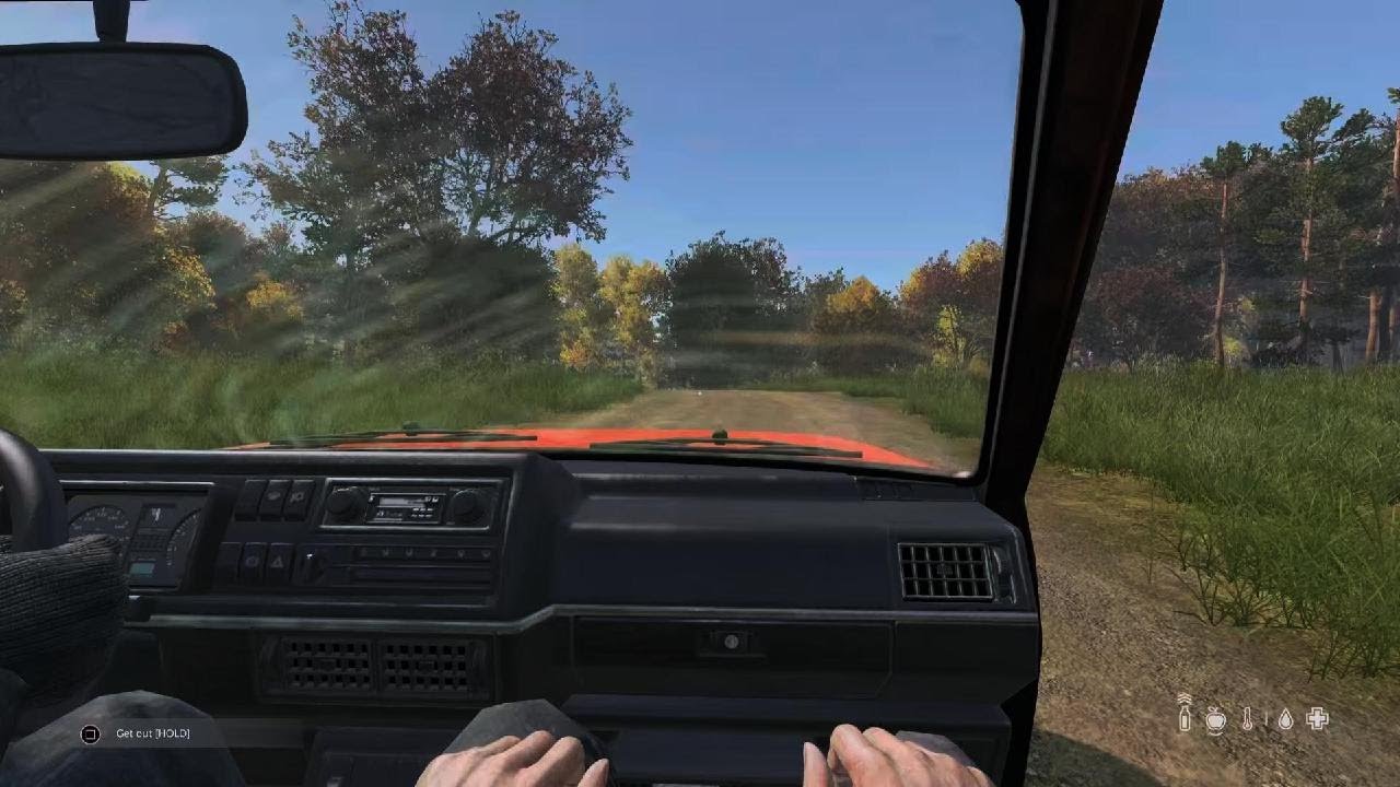 DayZ_20260217231555