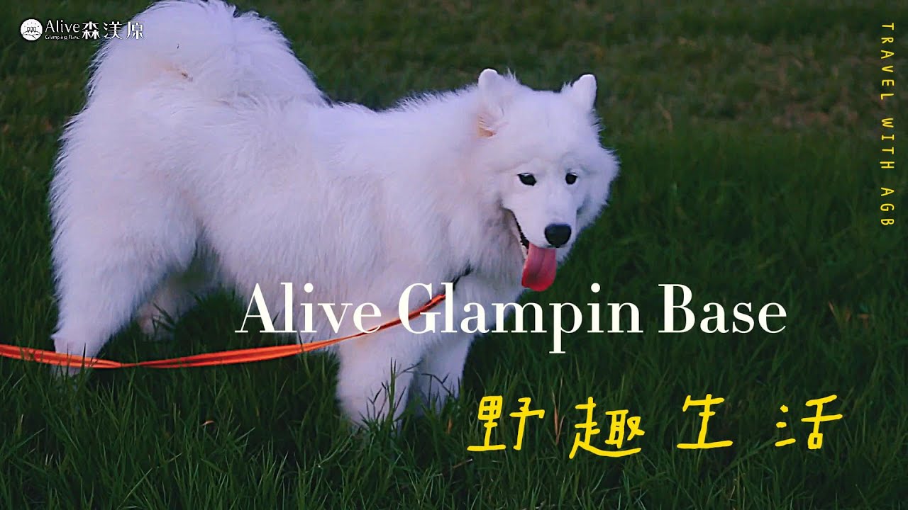 森渼原露營慢生活