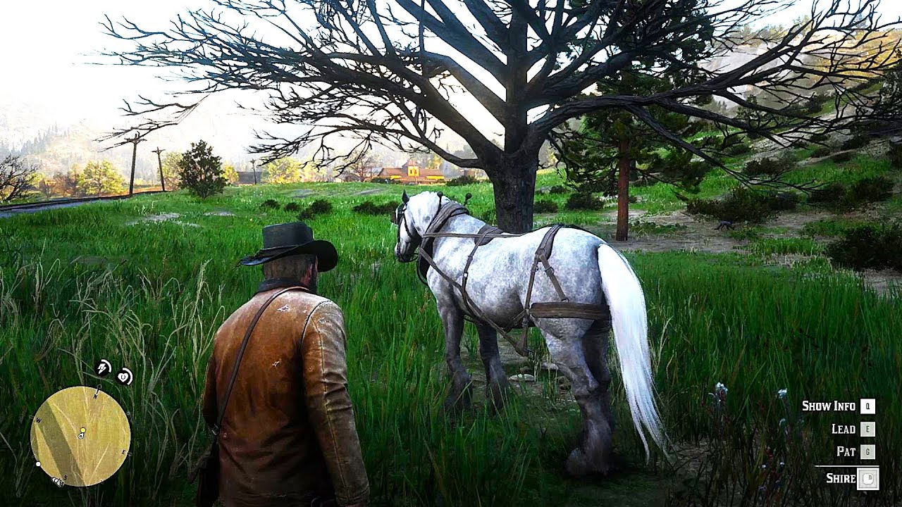 Arthur Morgan is a very good horse tamer RDR2