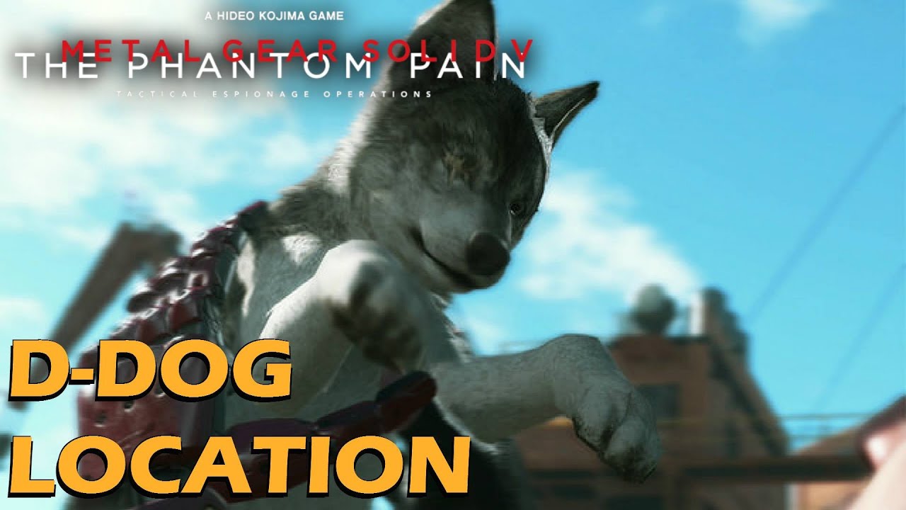 Metal Gear Solid 5 Phantom Pain - D-Dog Location / How To Get D-Dog