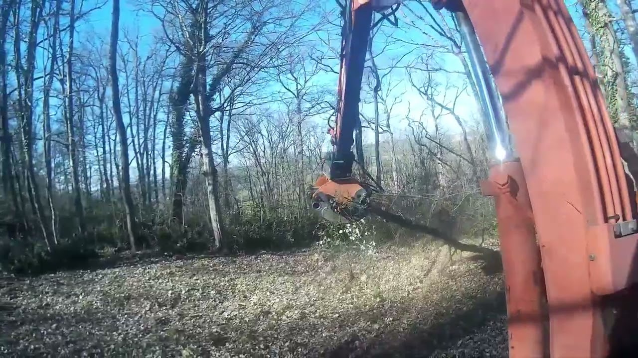 Effortless Tree Removal! Hitachi ZX50 Excavator & Deleks Grabber in Action