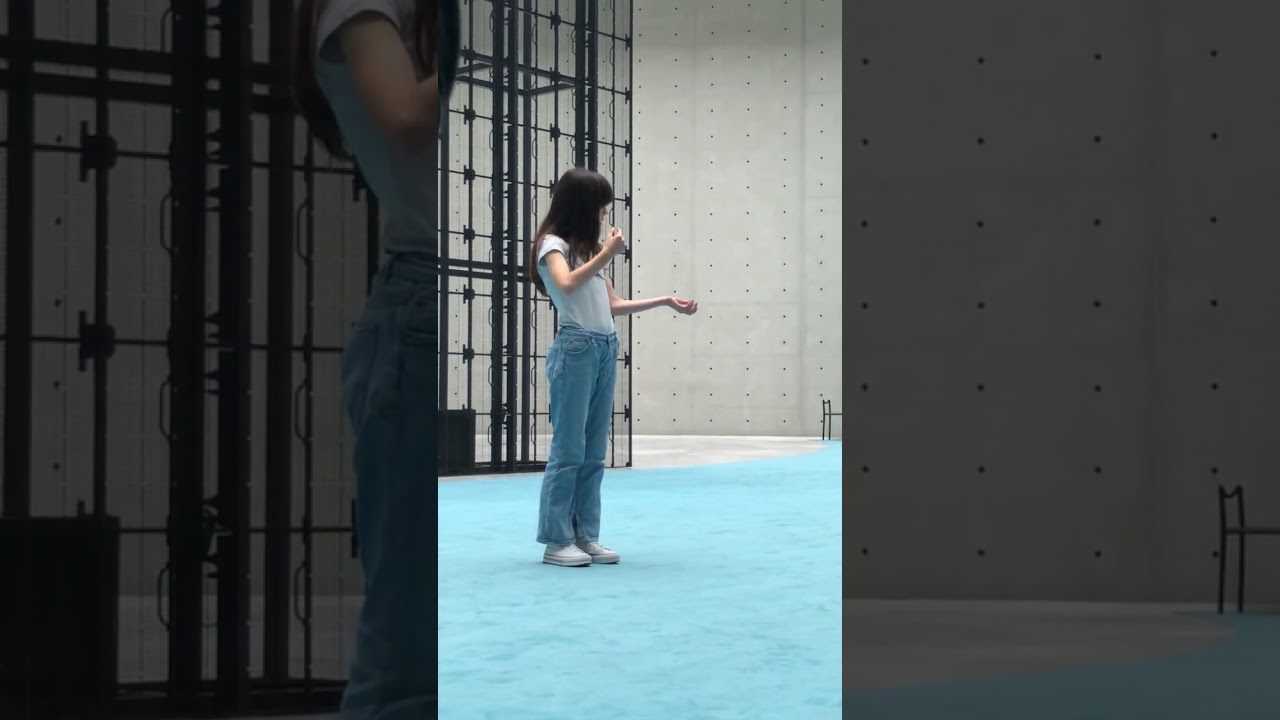 Manon Le Bail / Ann Lee Tino Sehgal