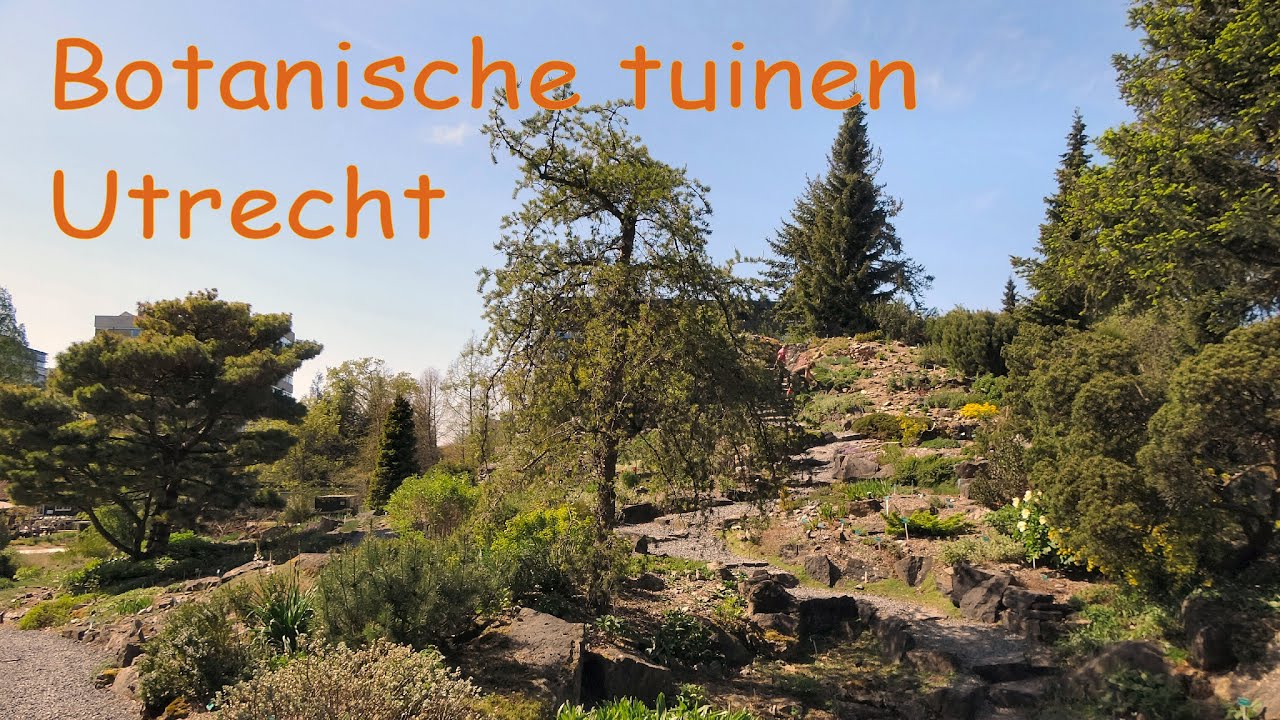 De Botanische tuinen in Utrecht