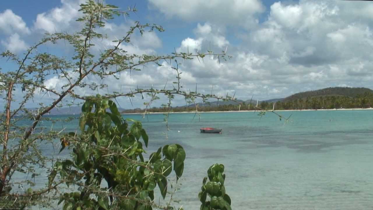 Martinique : Les plages des Salines