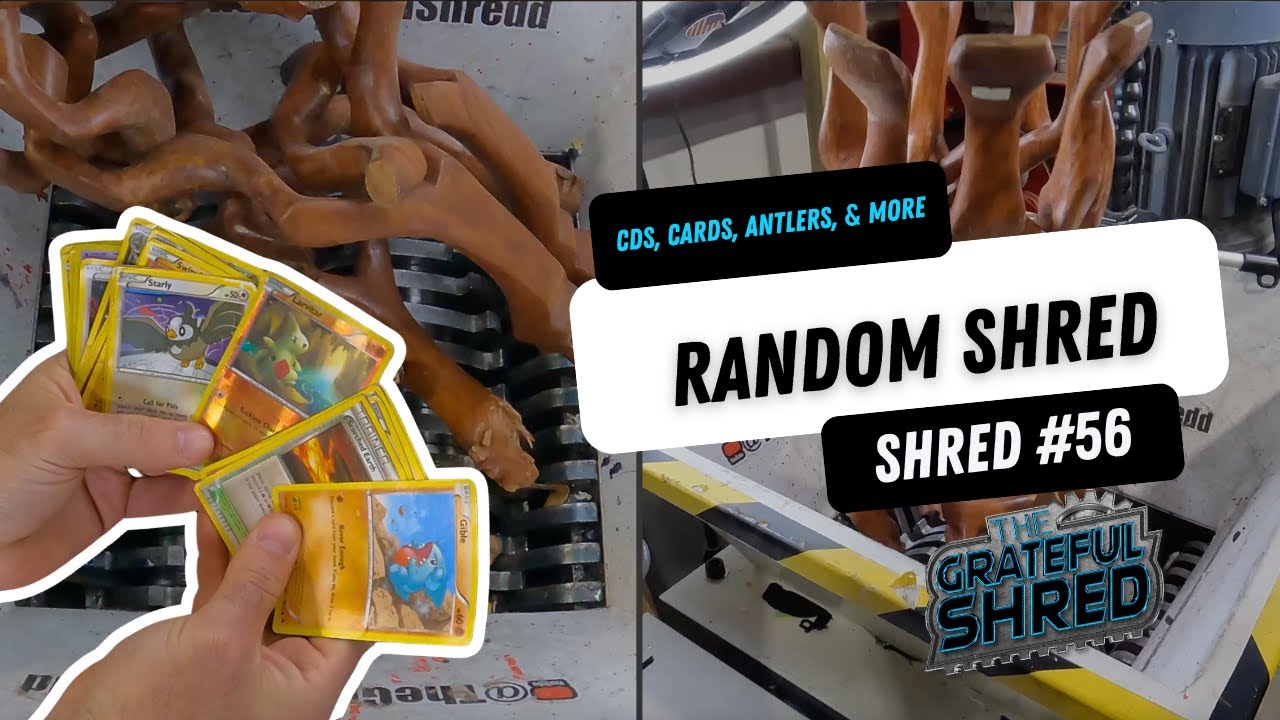 Random Item Shred | Pokemon Cards, Antlers, Phones & More SHREDDED