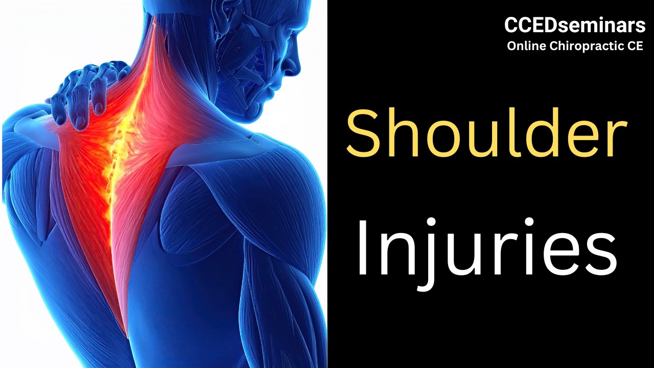 Athletic Injuries 206: Chiropractic Analysis of Shoulder Injuries | Dr. Dennis O’Hara