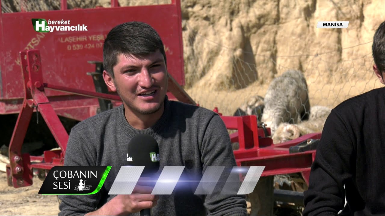 @BereketTV Çobanın Sesi - Geçmişten Günümüze Çobanlık Ve Sorunları