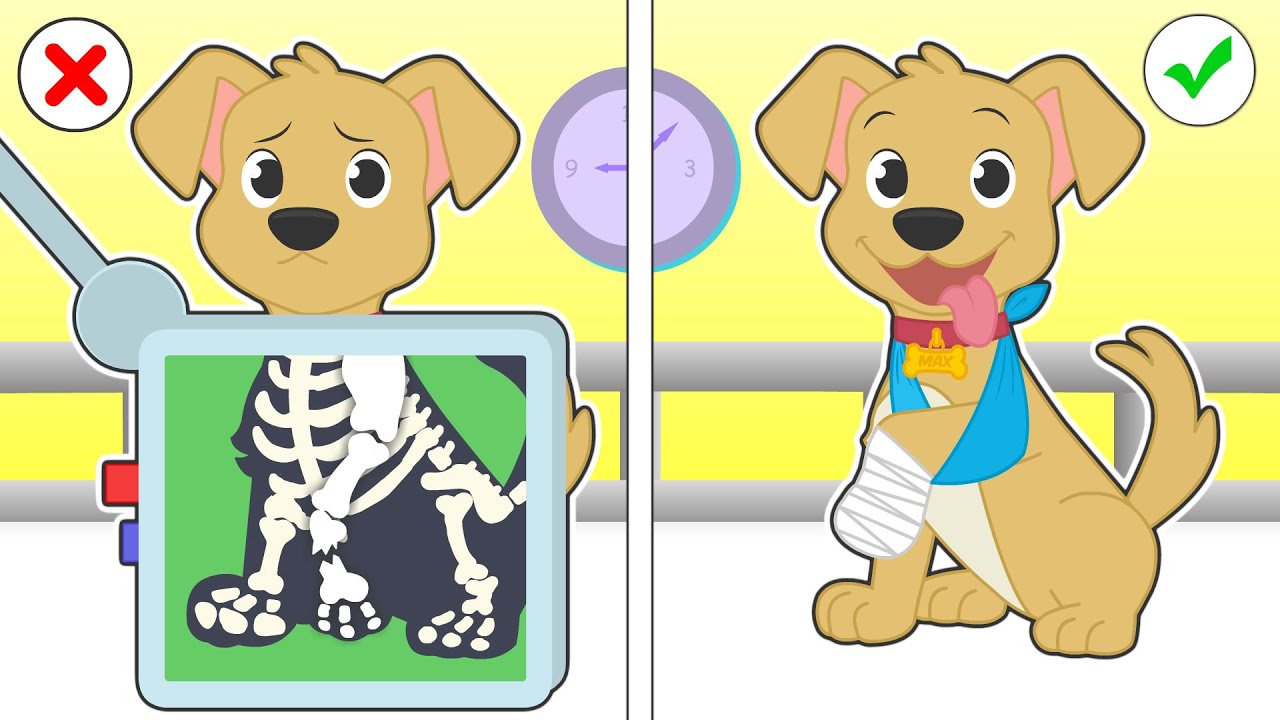 BABY PETS 👩🏾‍⚕️🐶🦴 Aprende a curar a un Perro con la PATA ROTA