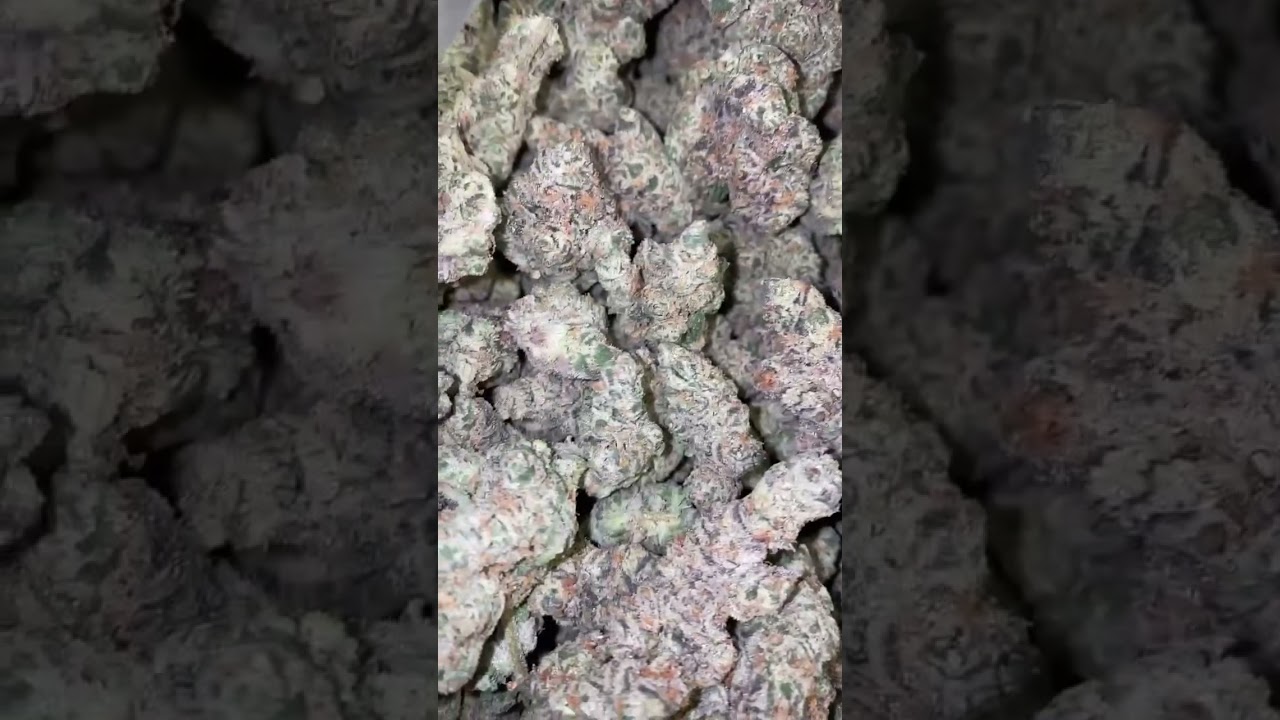 JEALOUSY CANNABIS STRAIN #indoorgas #whatsinyourbag #jealousystrain #jealousycannabis #jealousyweed