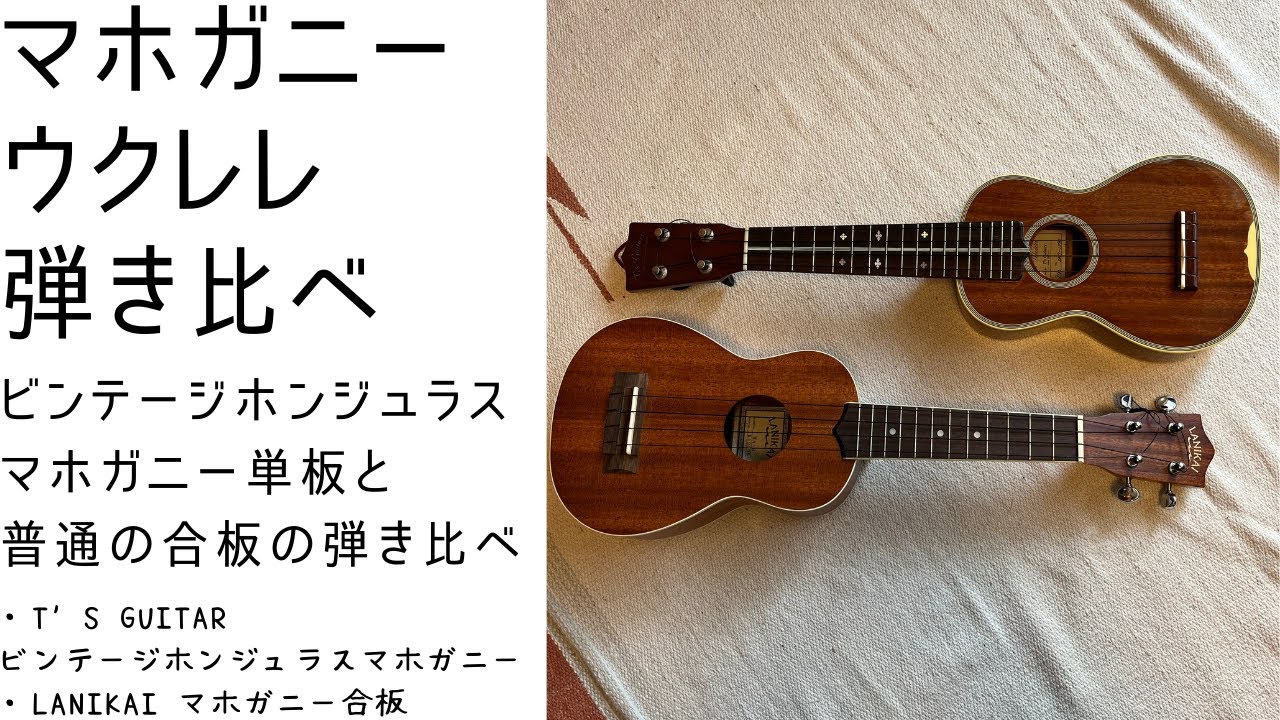 ビンテージホンジュラスマホガニー単板ウクレレと普通のマホガニー合板ウクレレ弾き比べ／T'Guitar(T'suklele)とLANIKAIのウクレレ