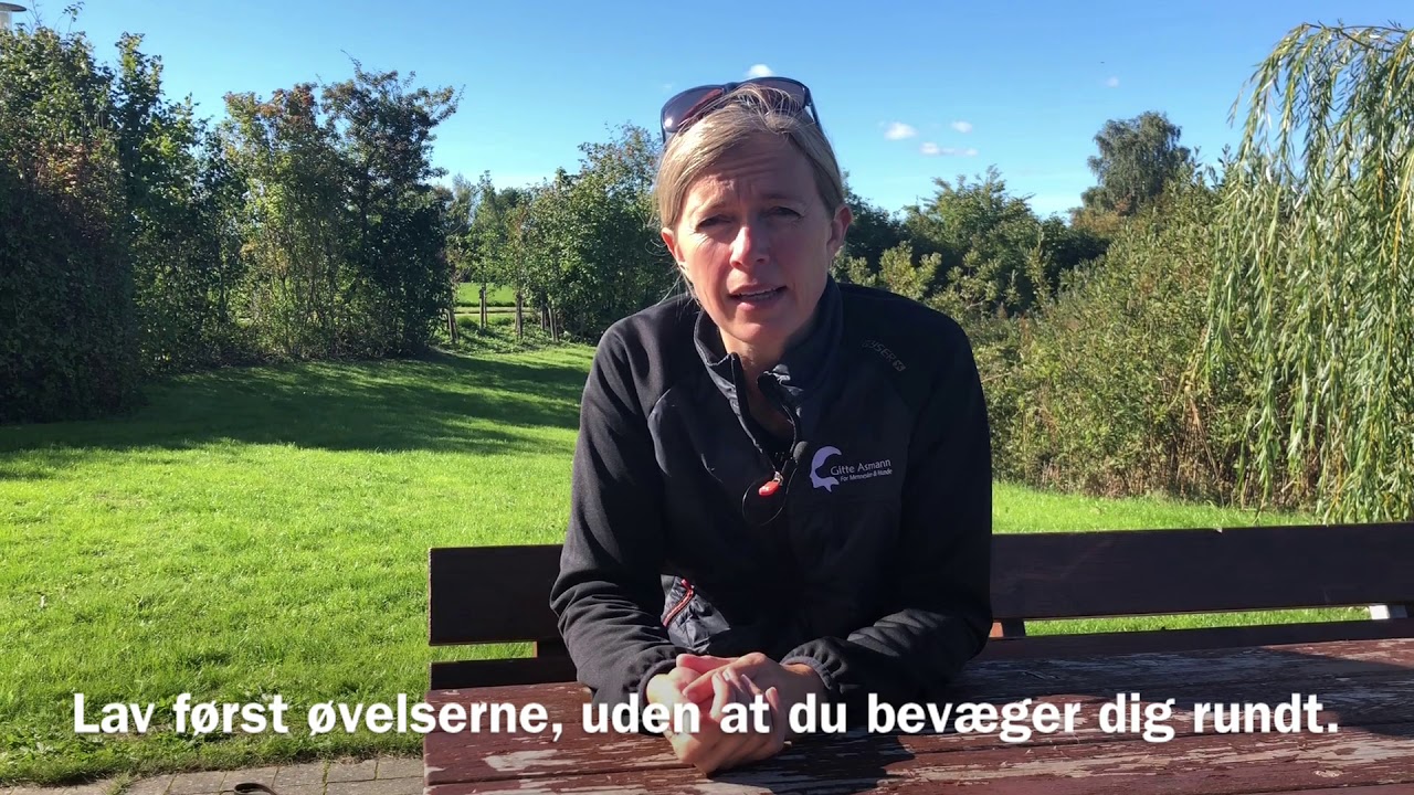 Kontakt med din hund | Sådan får du bedre kontakt med din hund | Videokursus på WeTeach.dk