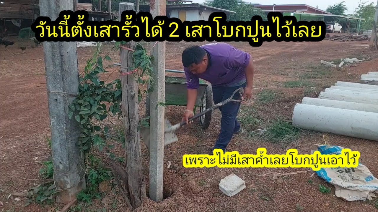 วันนี้ตั้งเสารั้วได้สองสาวโบกปูนเอาไว้#จิตอาสา 