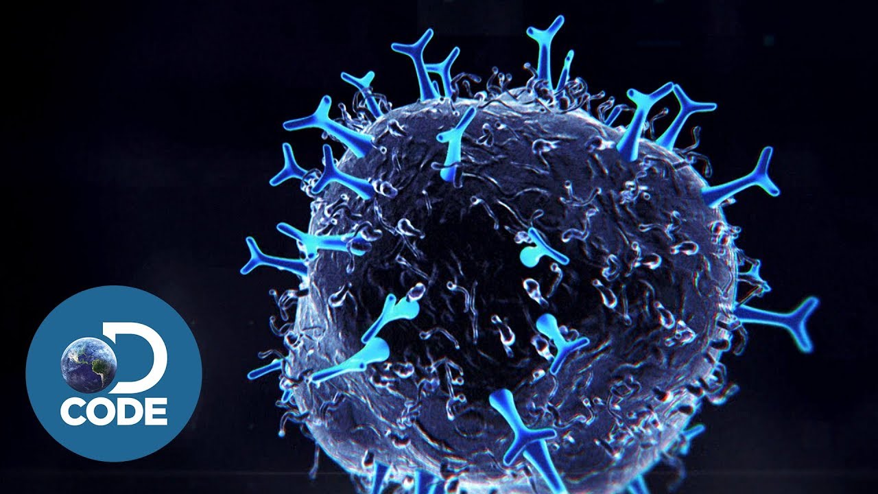 First In Human EP1 (6/6) | What is a CAR T Cell?