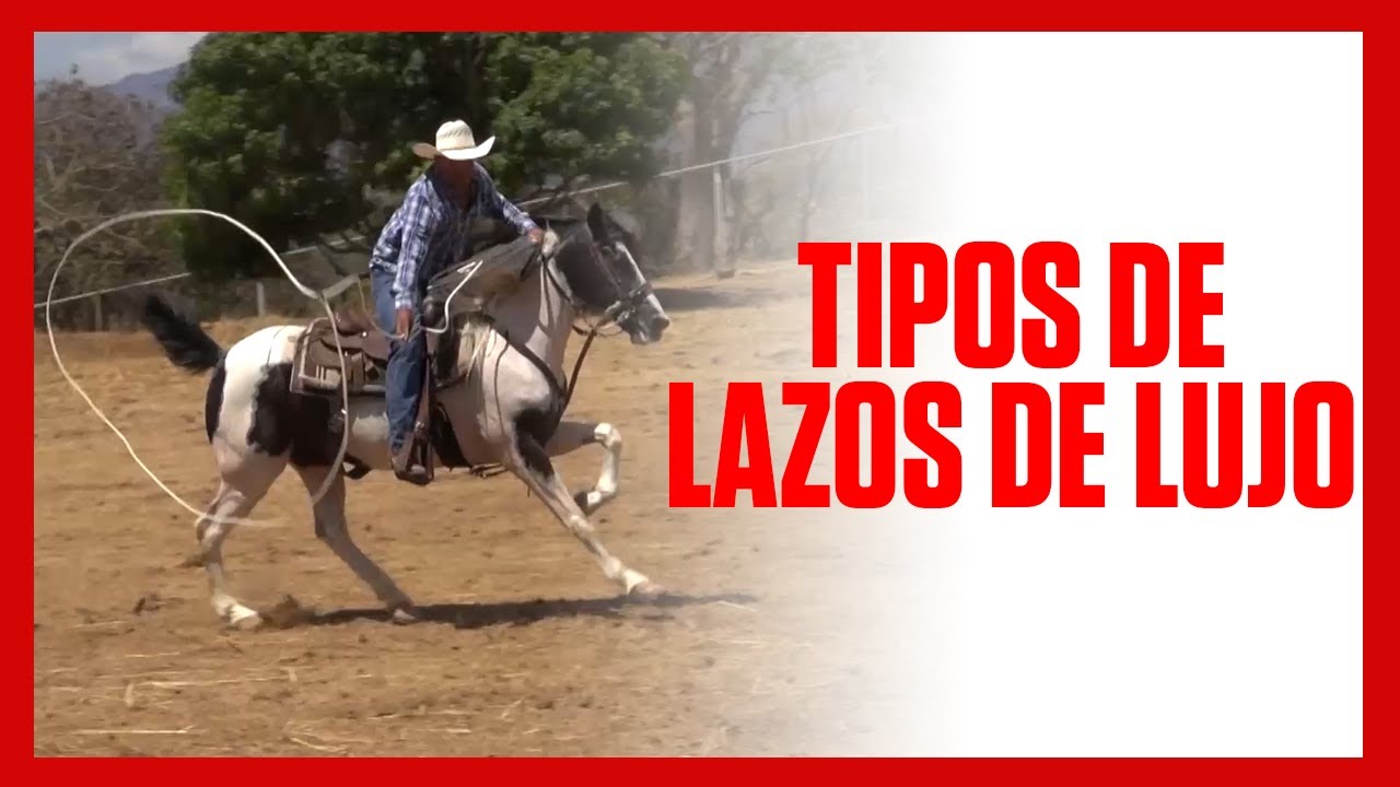 ✅🐴 Tipos de LAZOS DE LUJO Costa Rica 🇨🇷🐴