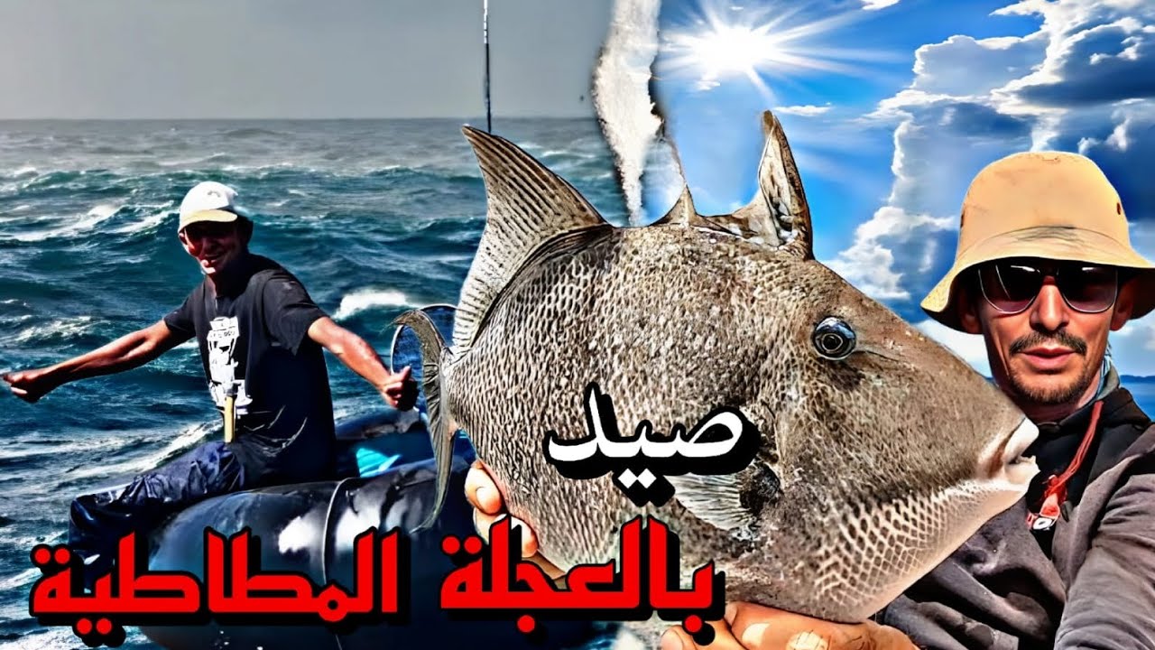 كفاح البحار : صيد اسماك🐟🐟 بطرية بدائية بالعجلة المطاطية حصيلة لبأسة بها أجواء ياسلام