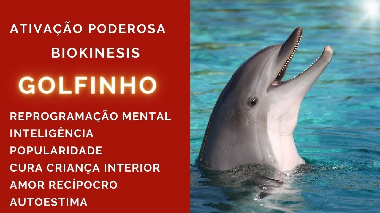 Arquétipo Golfinho