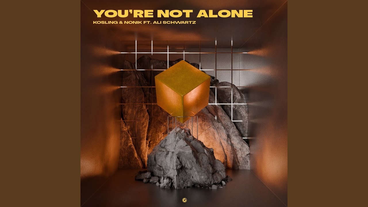 You're Not Alone (Extended Mix)