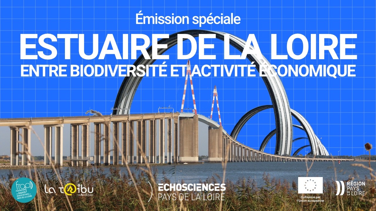 L'estuaire de la Loire : préserver l'équilibre entre les écosystèmes et les activités humaines