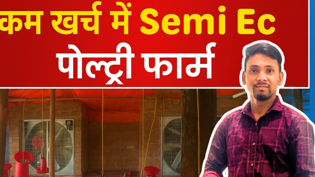 कम खर्चे में Semi Ec पोल्ट्री फार्म कैसे बनाएँ | Low Cost Semi Ec Poultry Farm