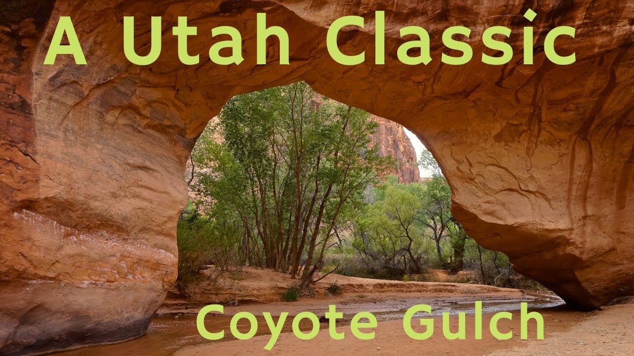 Coyote Gulch: Classic Utah Backpacking