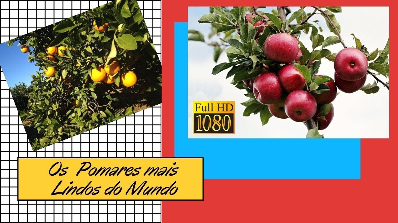 🍎Os Pomares mais (LINDOS) - do Mundo Top10 FullHD