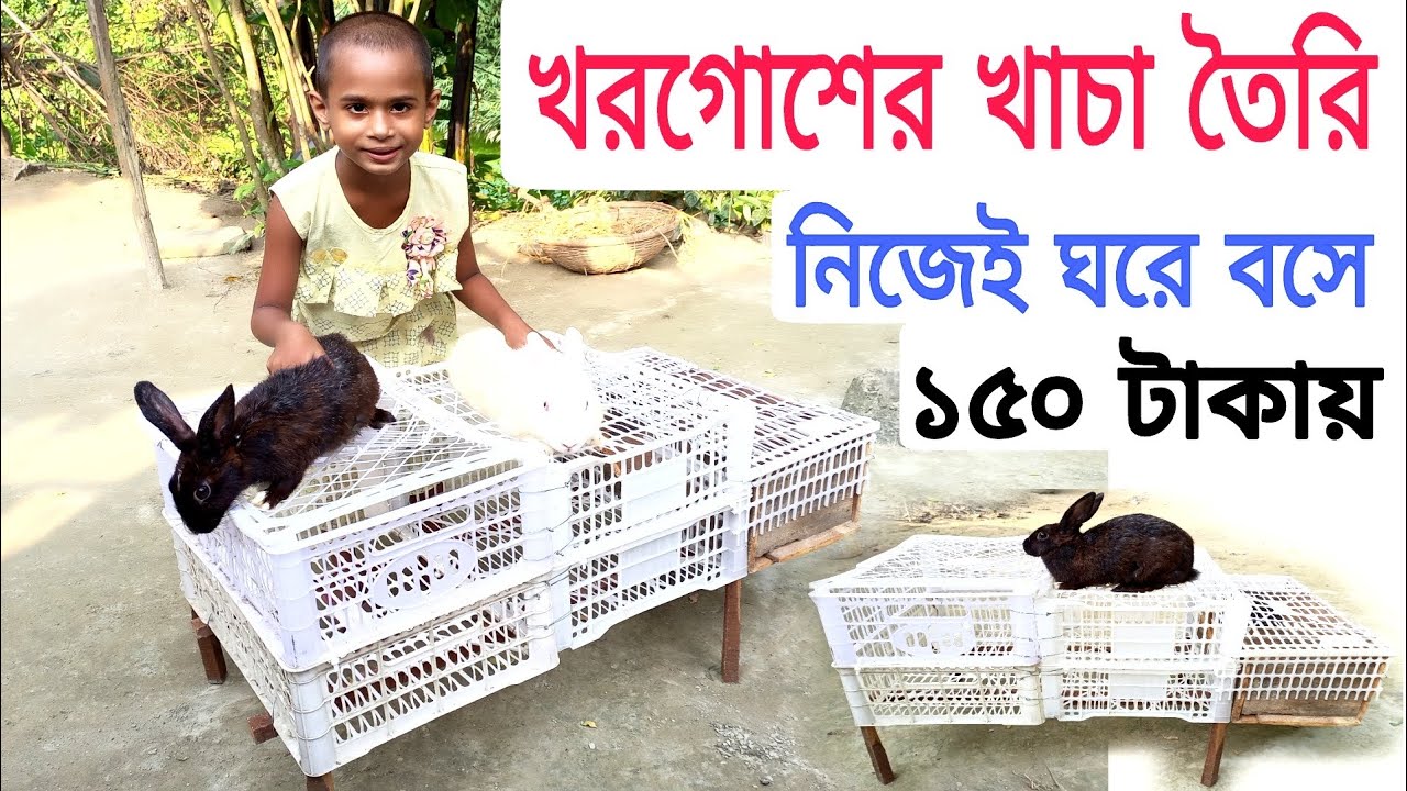 কম খরচে খরগোশের খাচা তৈরি । ১৫০ টাকা খরচে ফলের ঝুড়ি দিয়ে খাচা তৈরি করুন।