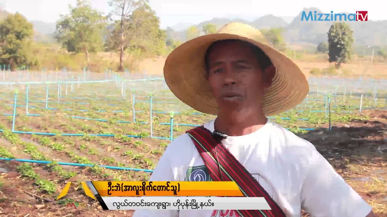 မိ႐ိုးဖလာစိုက္ပ်ိဳးေရး ႏွင့္ ေခတ္သစ္နည္းပညာ